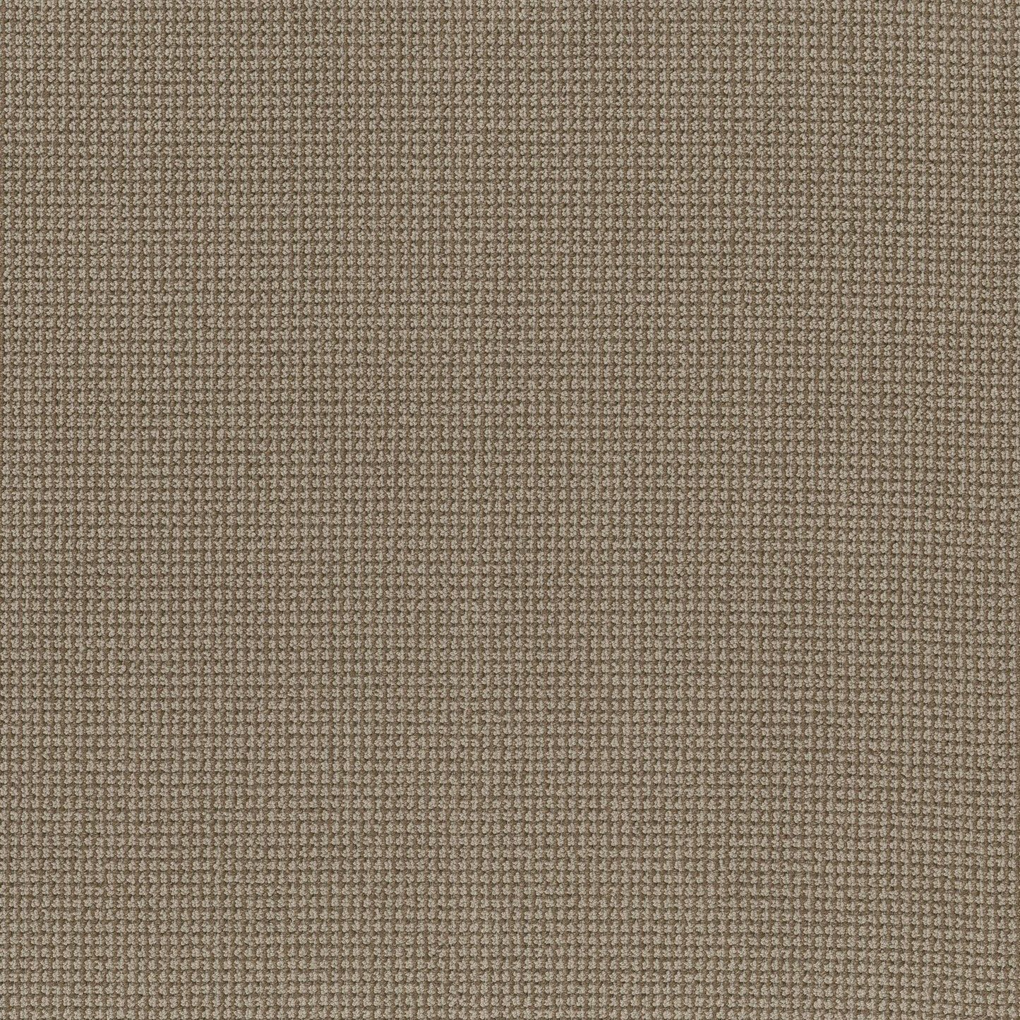 BERBER NYLON LOOP