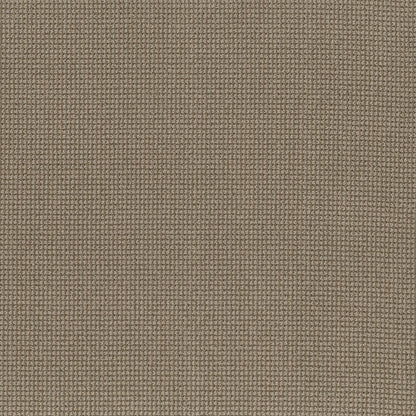 BERBER NYLON LOOP