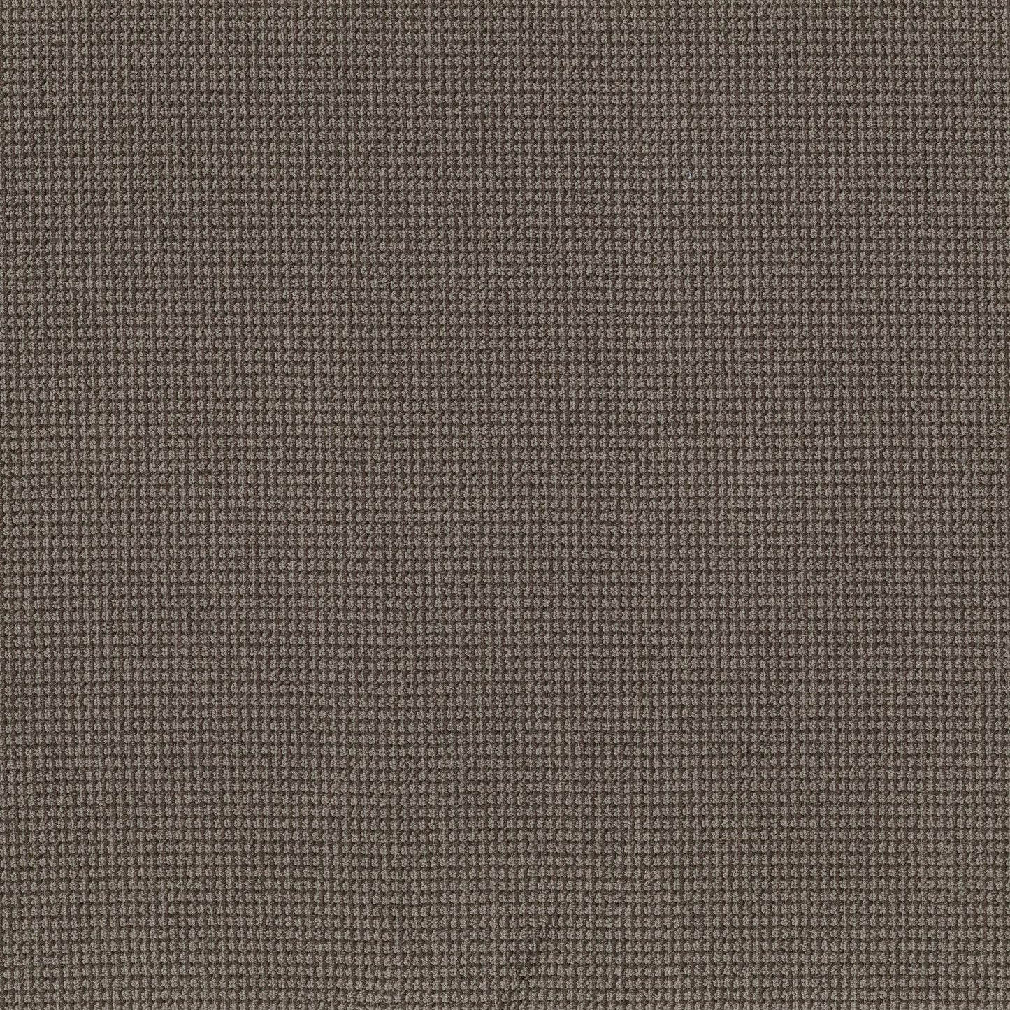 BERBER NYLON LOOP