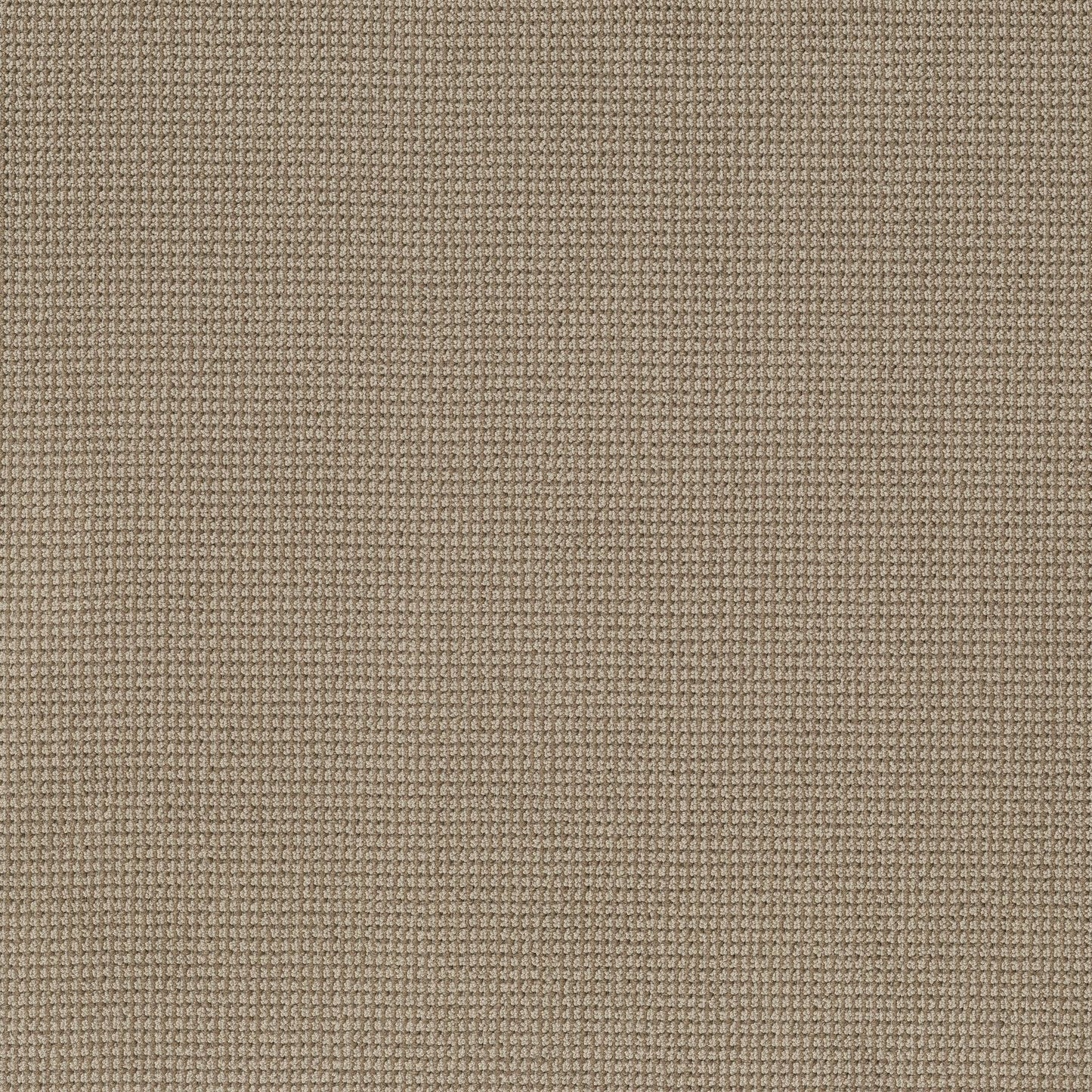 BERBER NYLON LOOP
