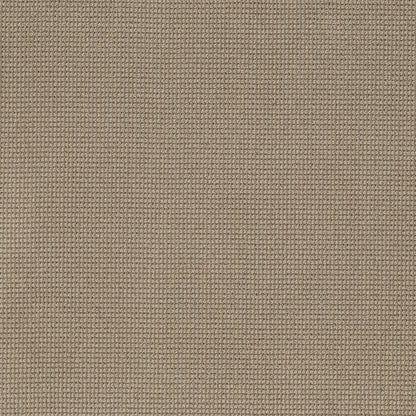 BERBER NYLON LOOP