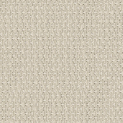 BERBER NYLON LOOP