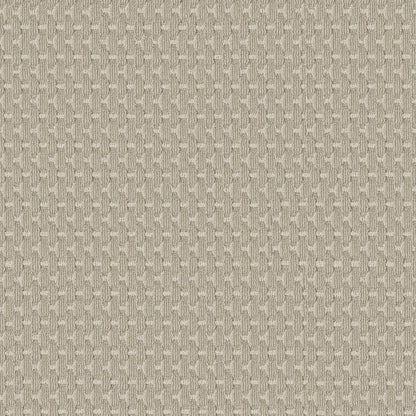 BERBER NYLON LOOP