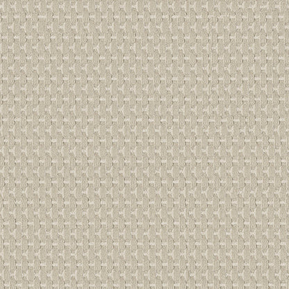 BERBER NYLON LOOP
