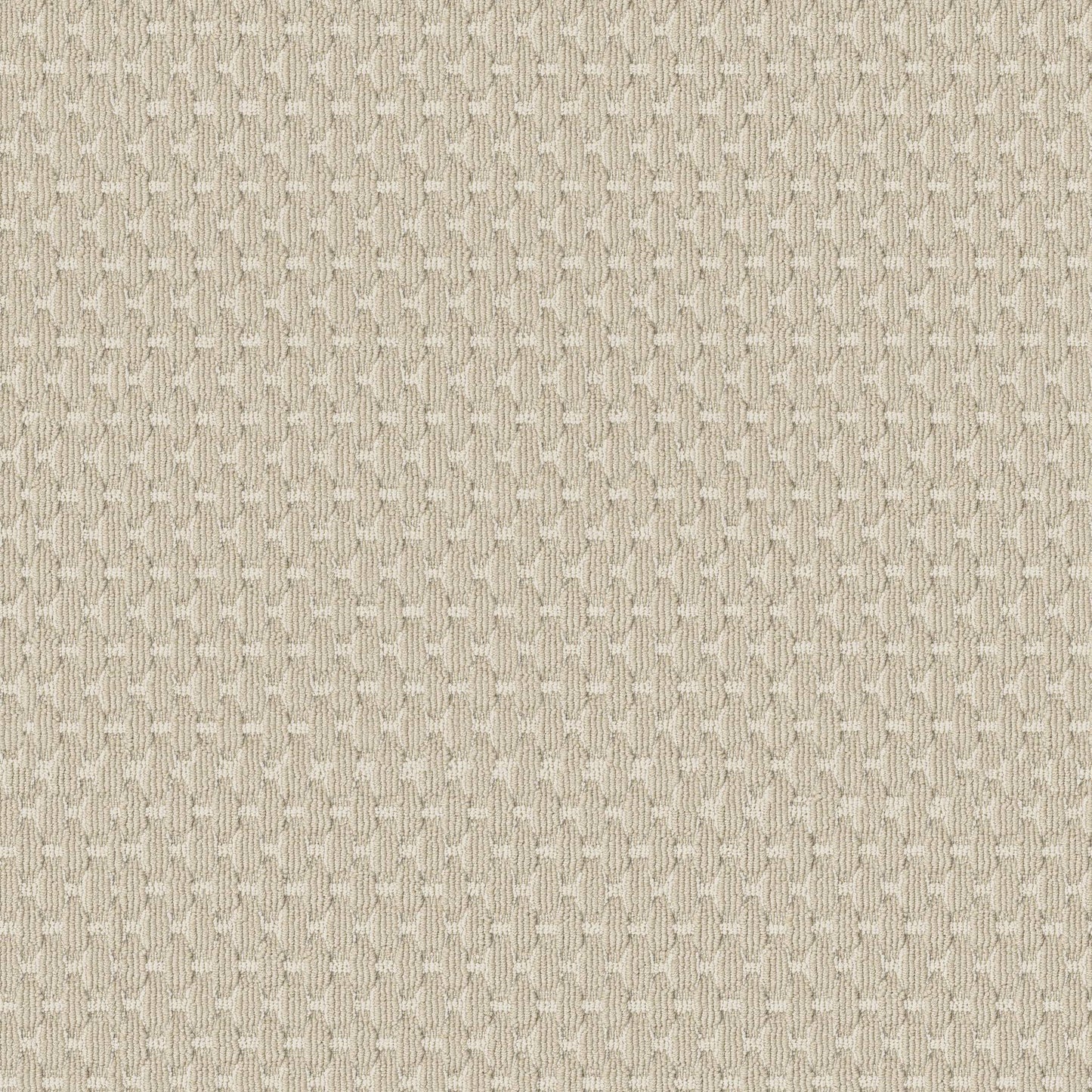 BERBER NYLON LOOP
