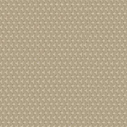 BERBER NYLON LOOP