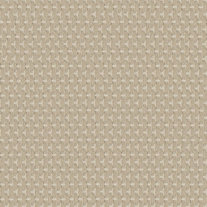 BERBER NYLON LOOP