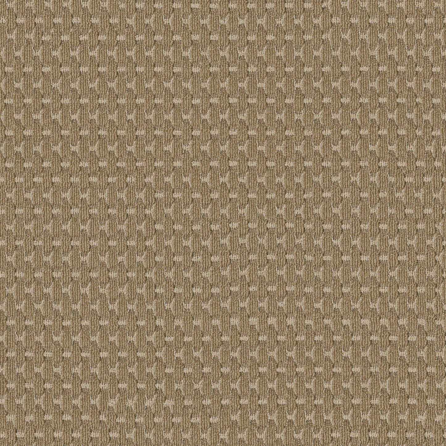 BERBER NYLON LOOP
