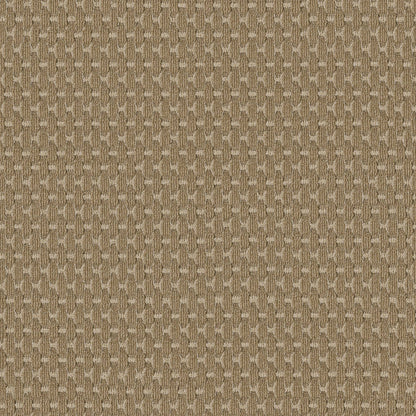 BERBER NYLON LOOP