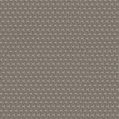 BERBER NYLON LOOP