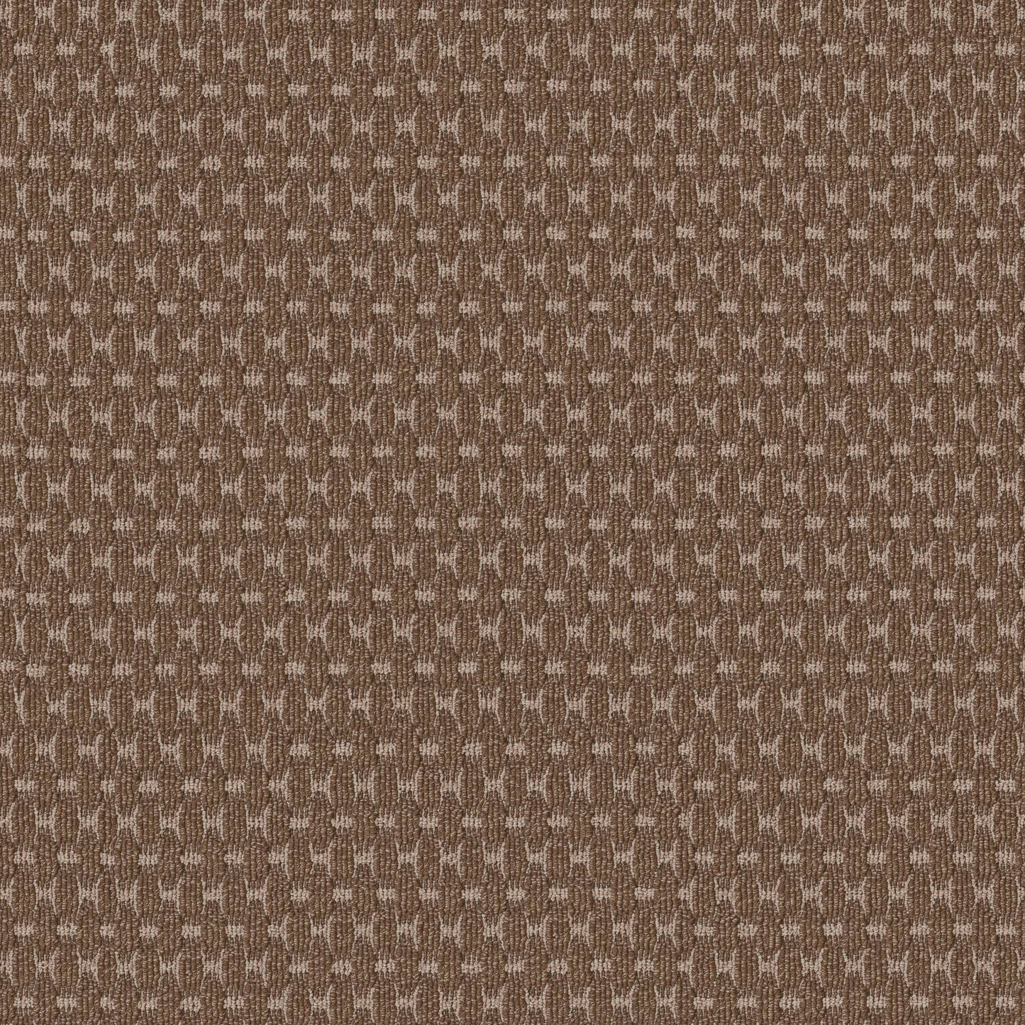 BERBER NYLON LOOP