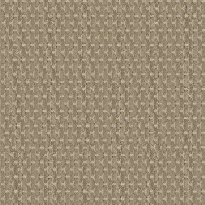 BERBER NYLON LOOP
