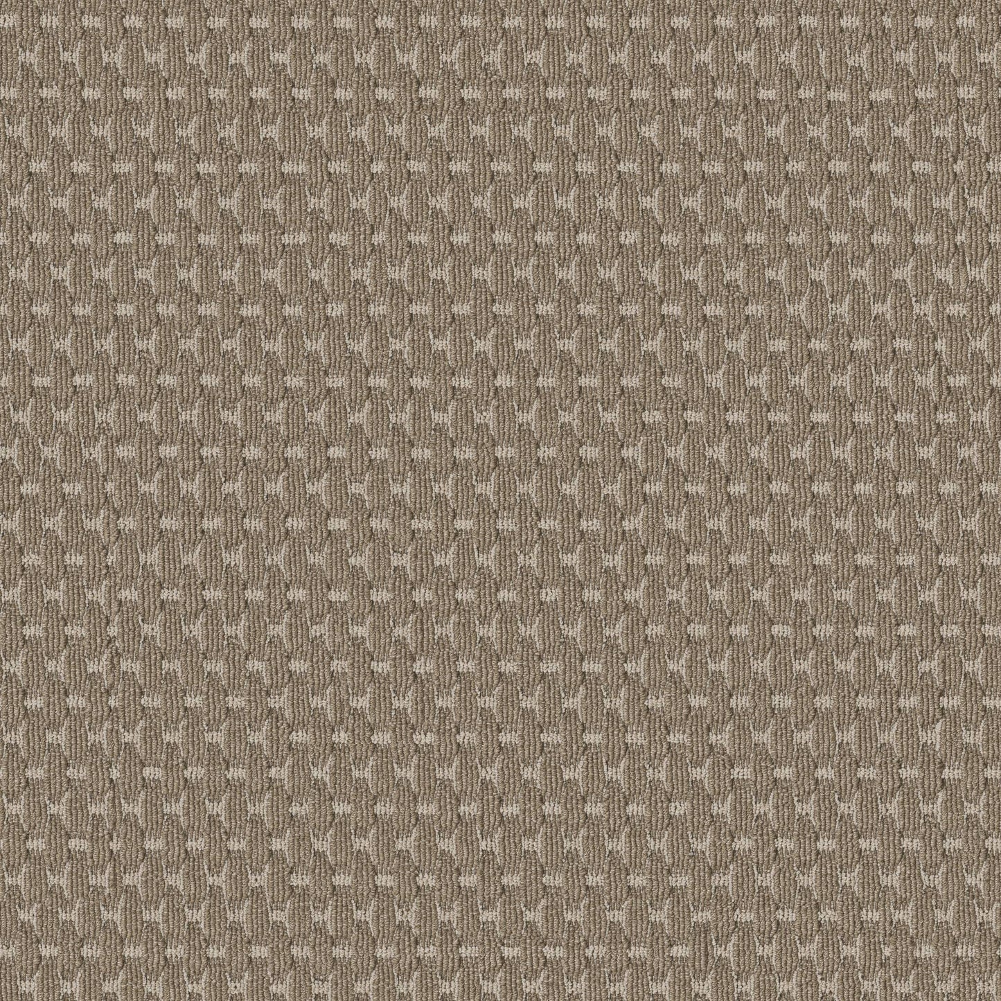 BERBER NYLON LOOP