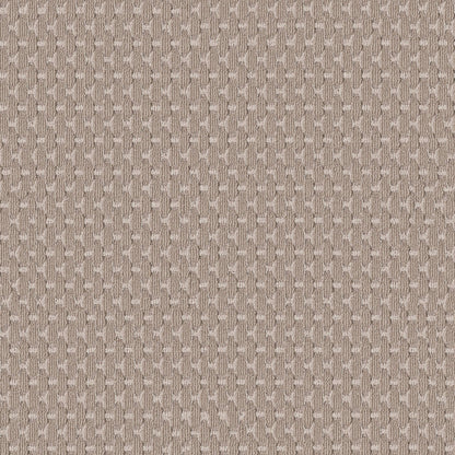 BERBER NYLON LOOP