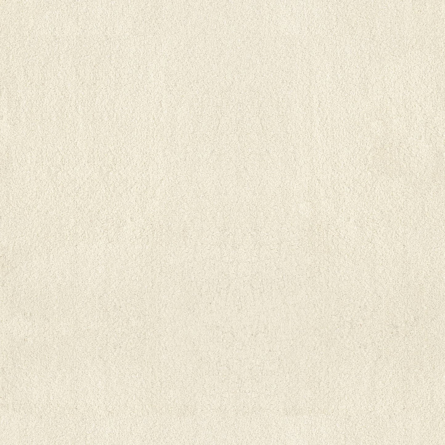 TEXTURE BCF