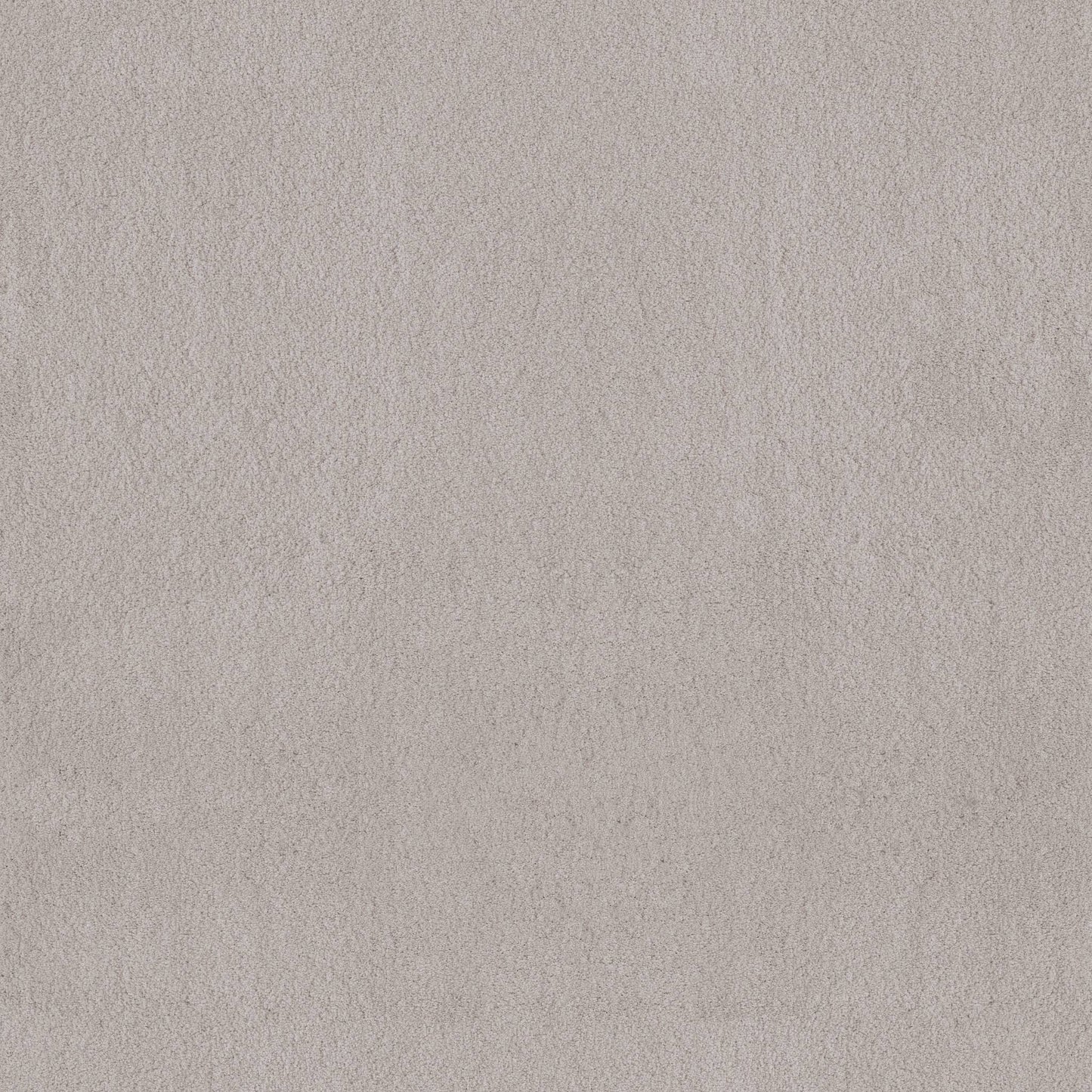 TEXTURE BCF