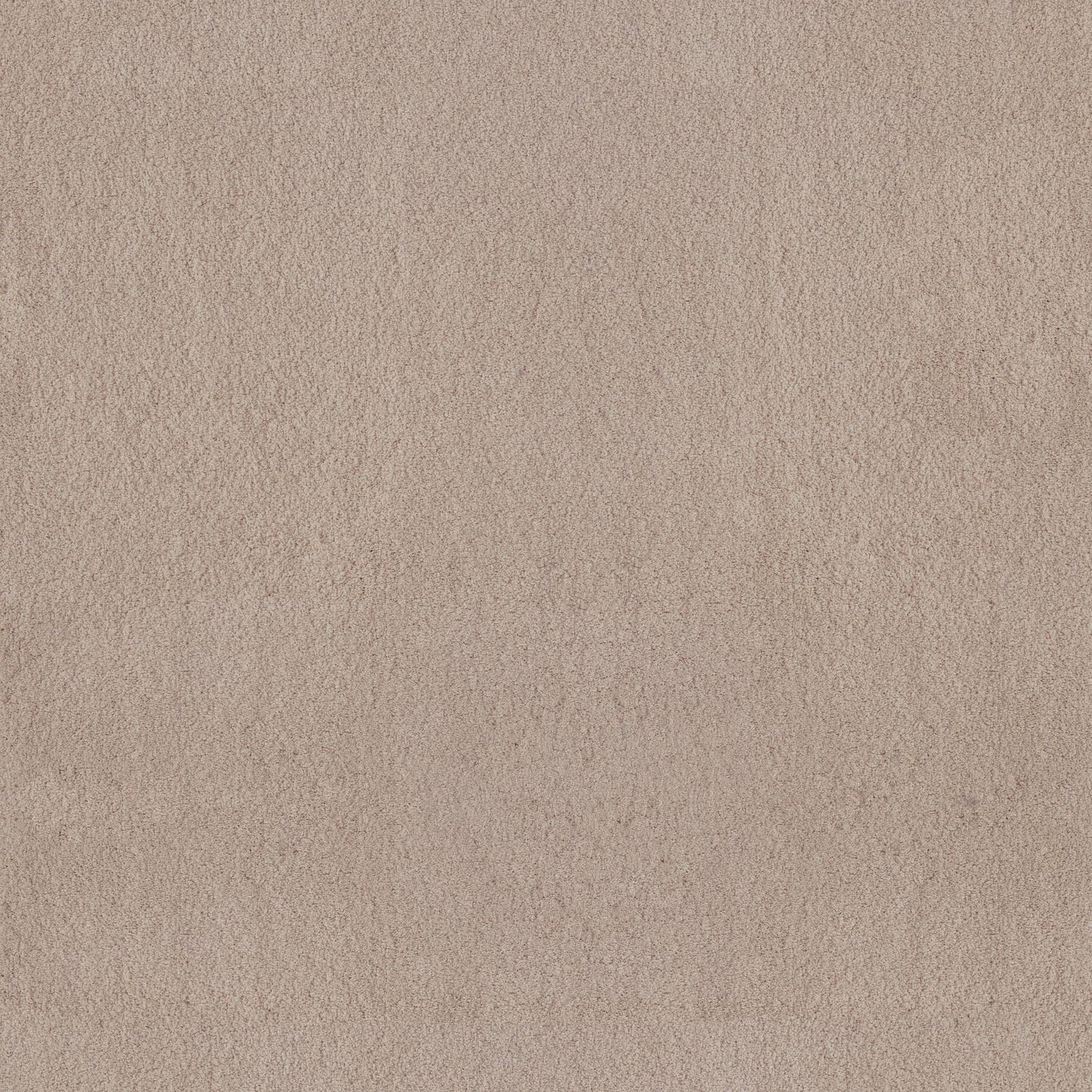 TEXTURE BCF