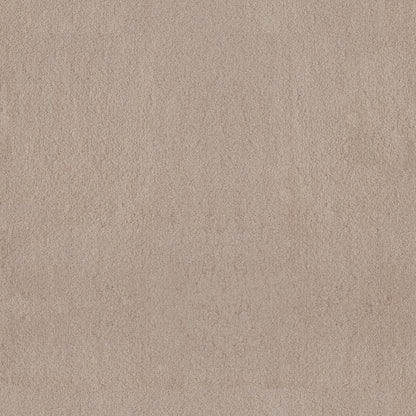 TEXTURE BCF