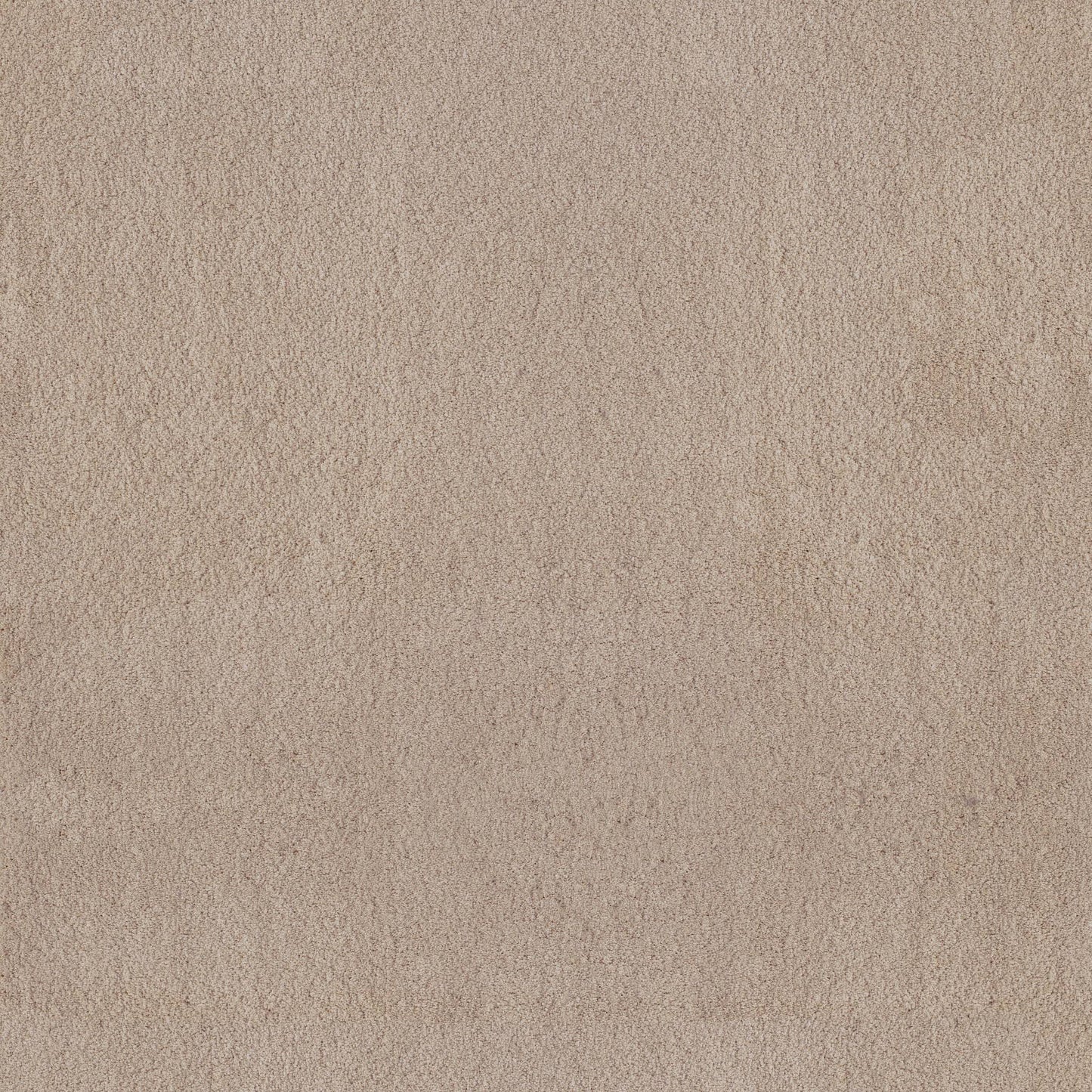TEXTURE BCF