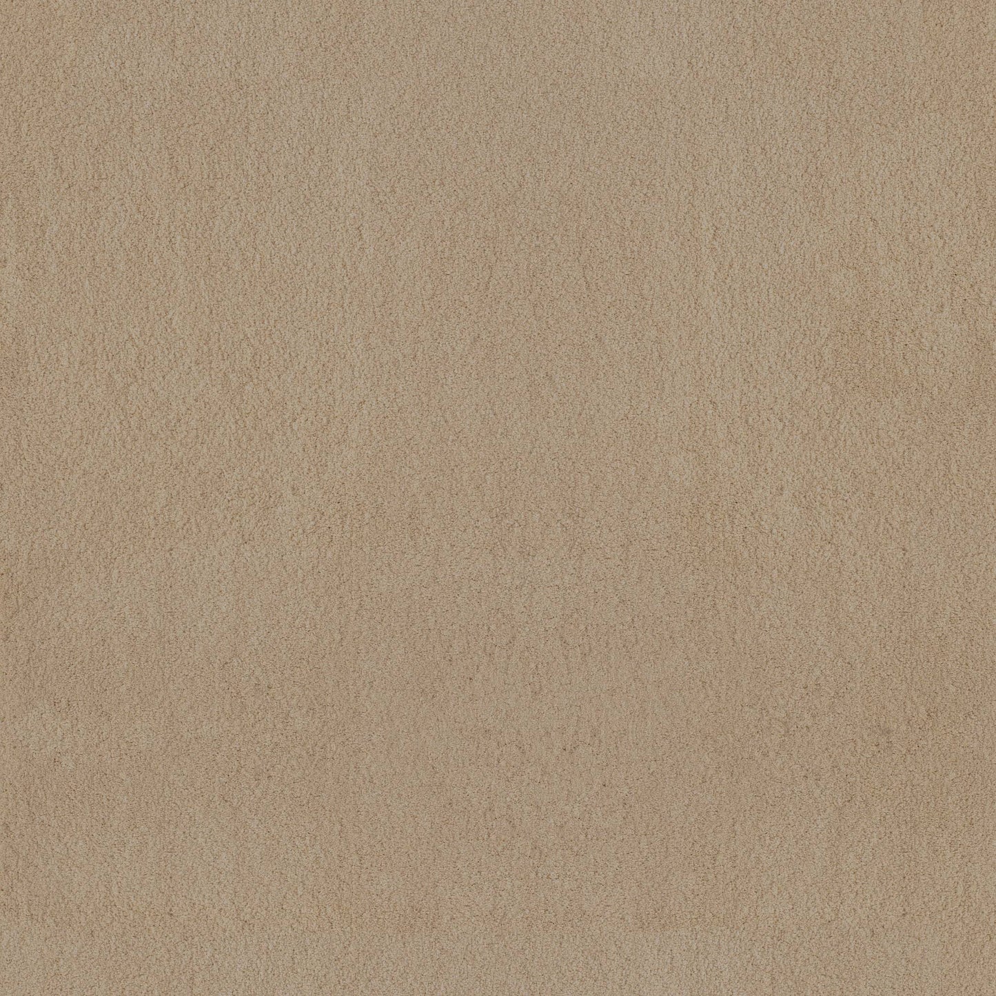 TEXTURE BCF