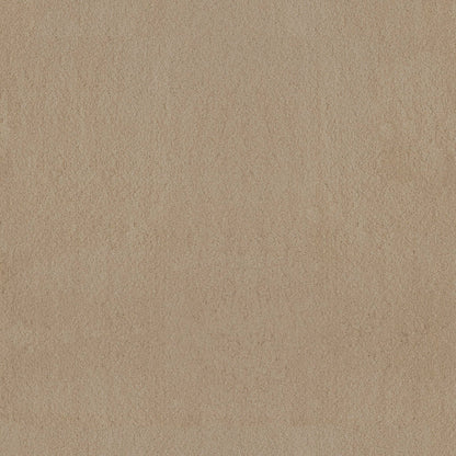 TEXTURE BCF