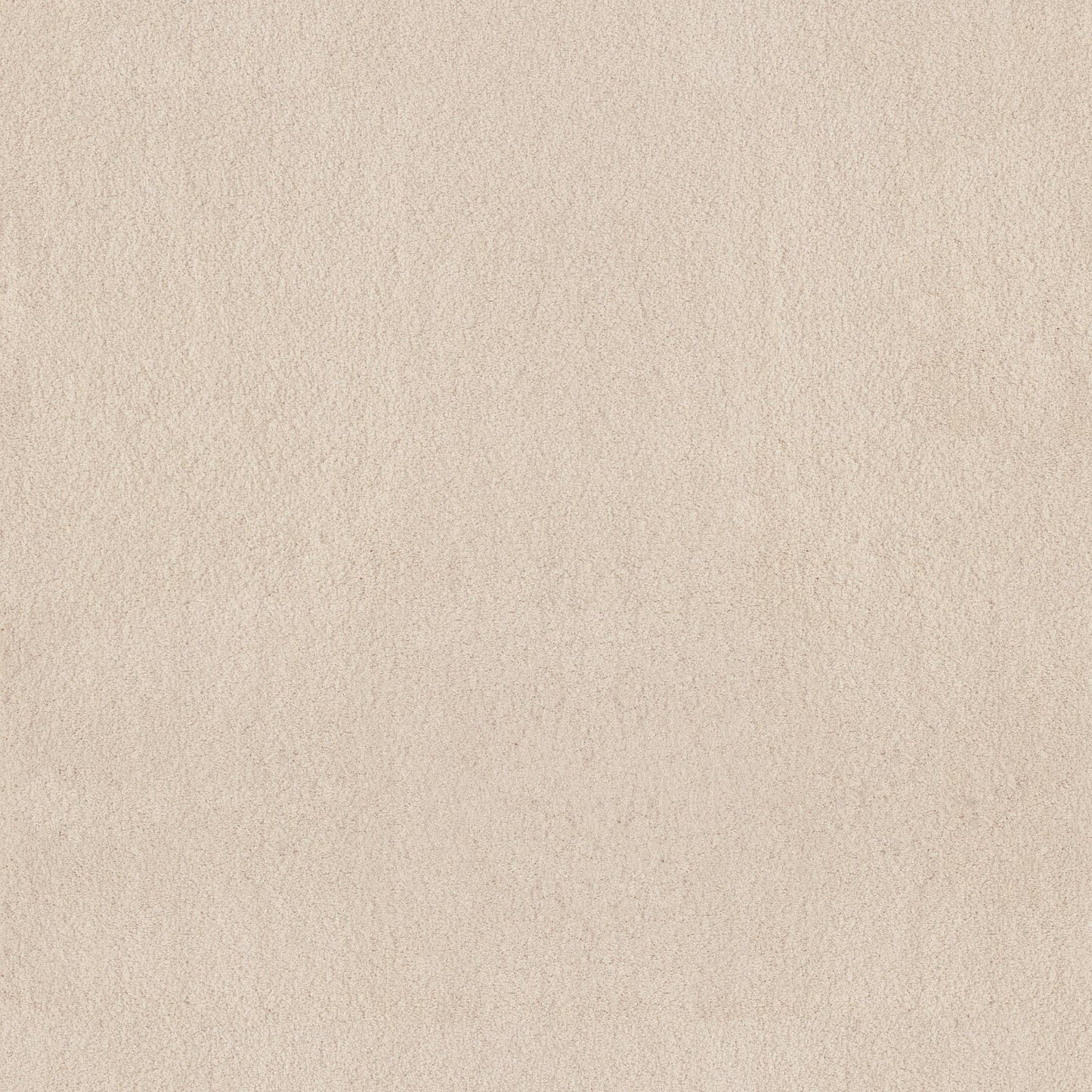 TEXTURE BCF