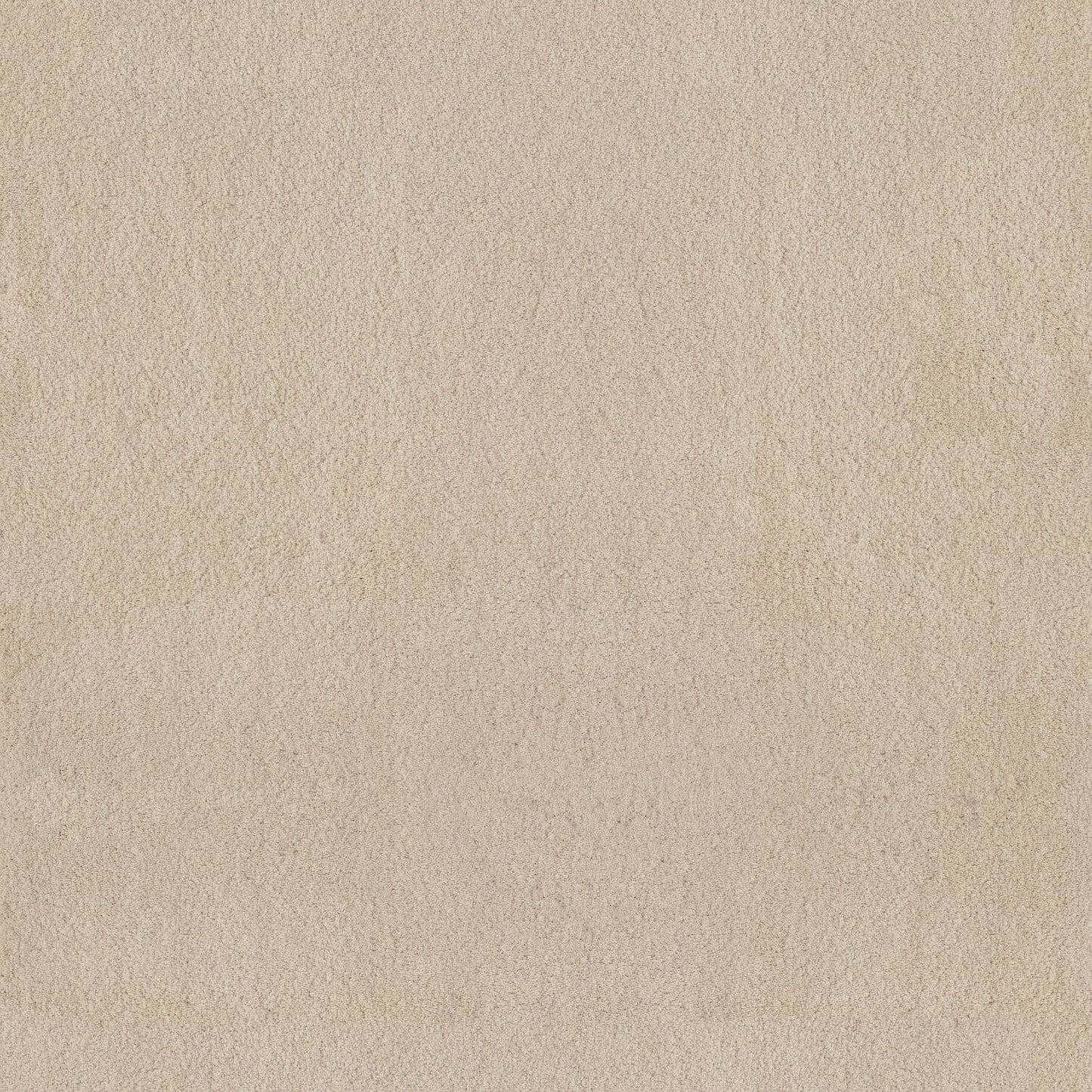 TEXTURE BCF