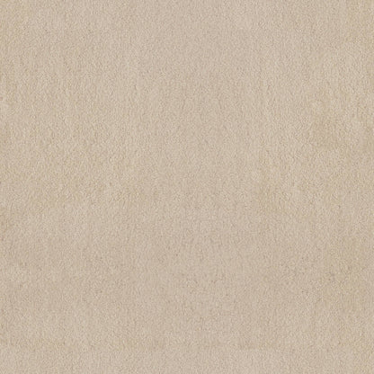 TEXTURE BCF