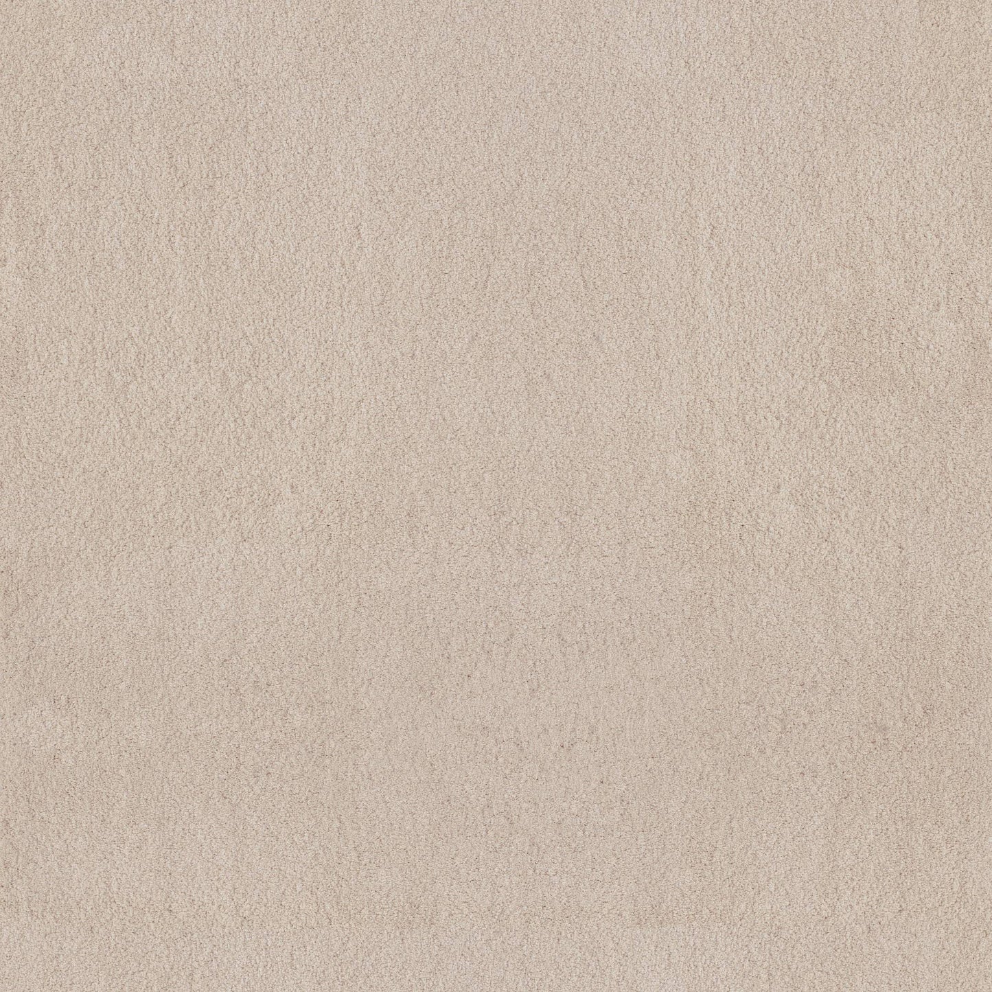 TEXTURE BCF
