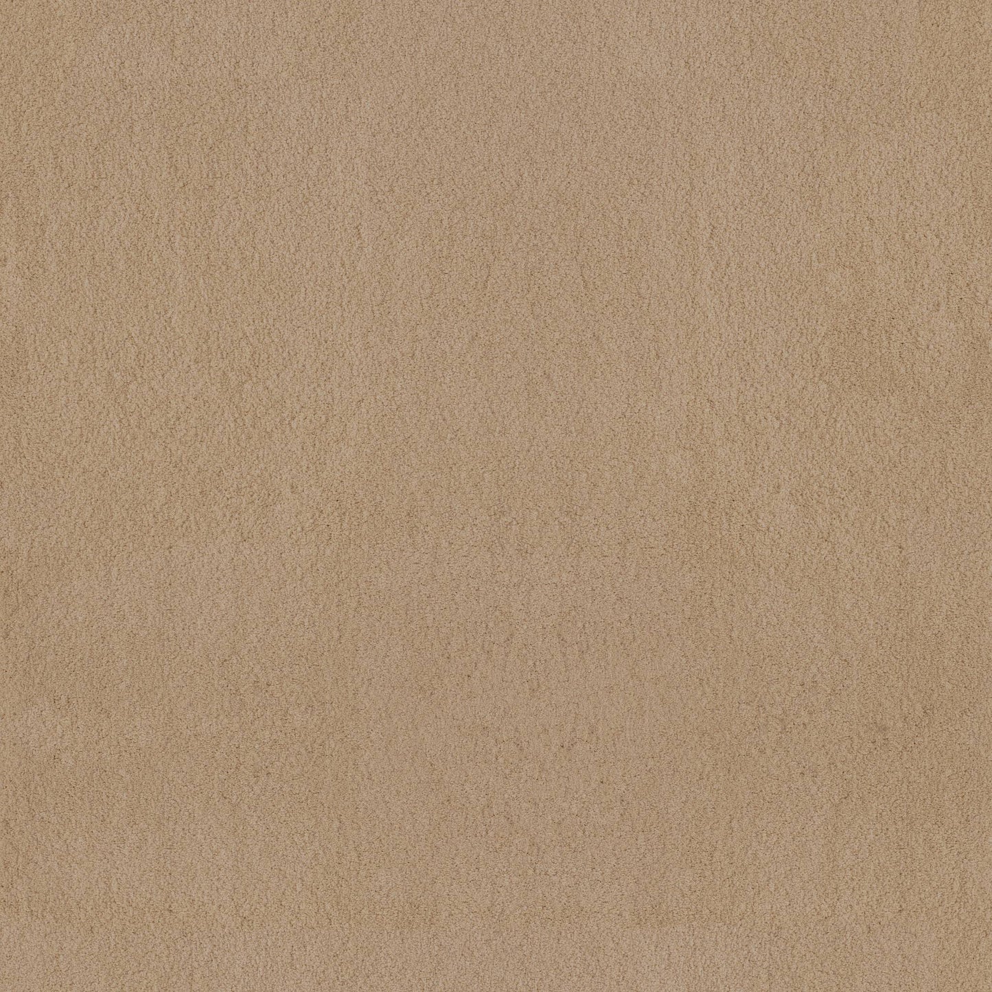 TEXTURE BCF