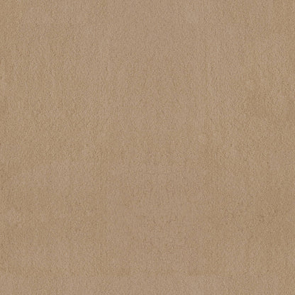 TEXTURE BCF