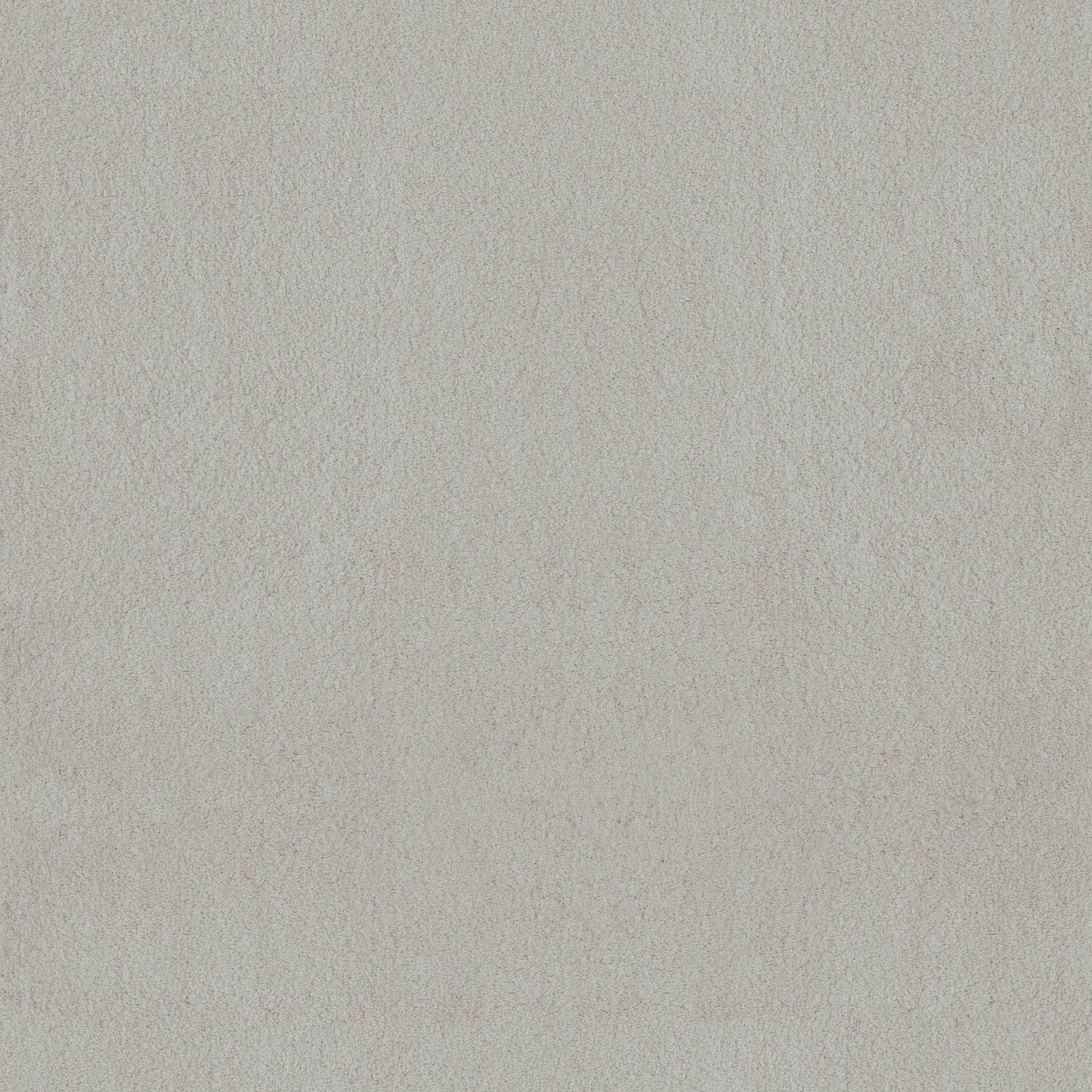 TEXTURE BCF