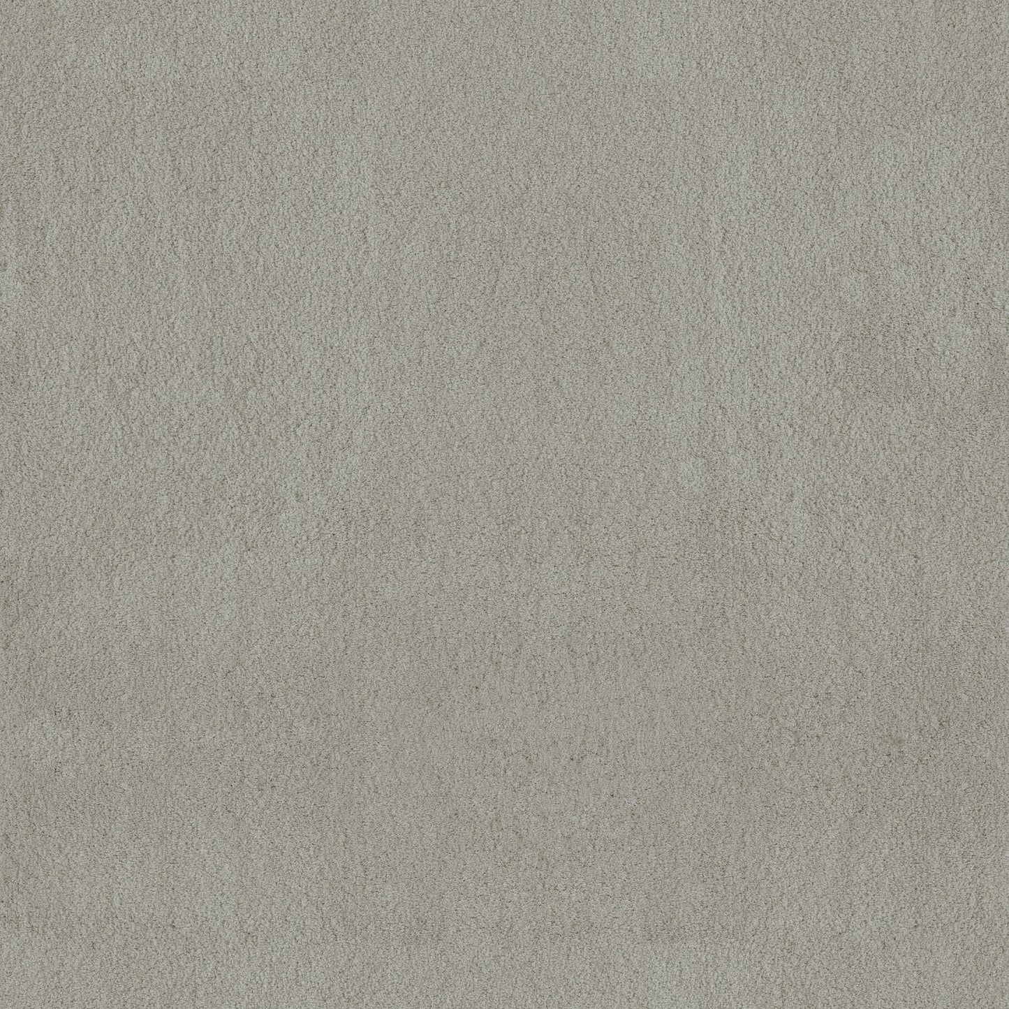 TEXTURE BCF