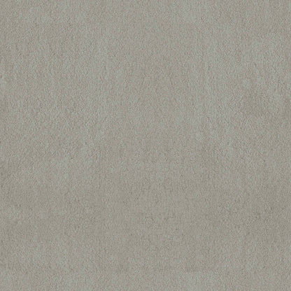 TEXTURE BCF