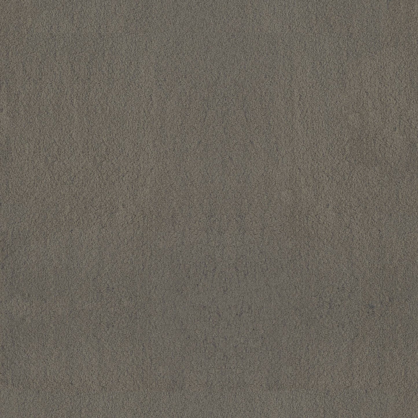 TEXTURE BCF