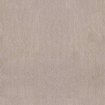 TEXTURE BCF