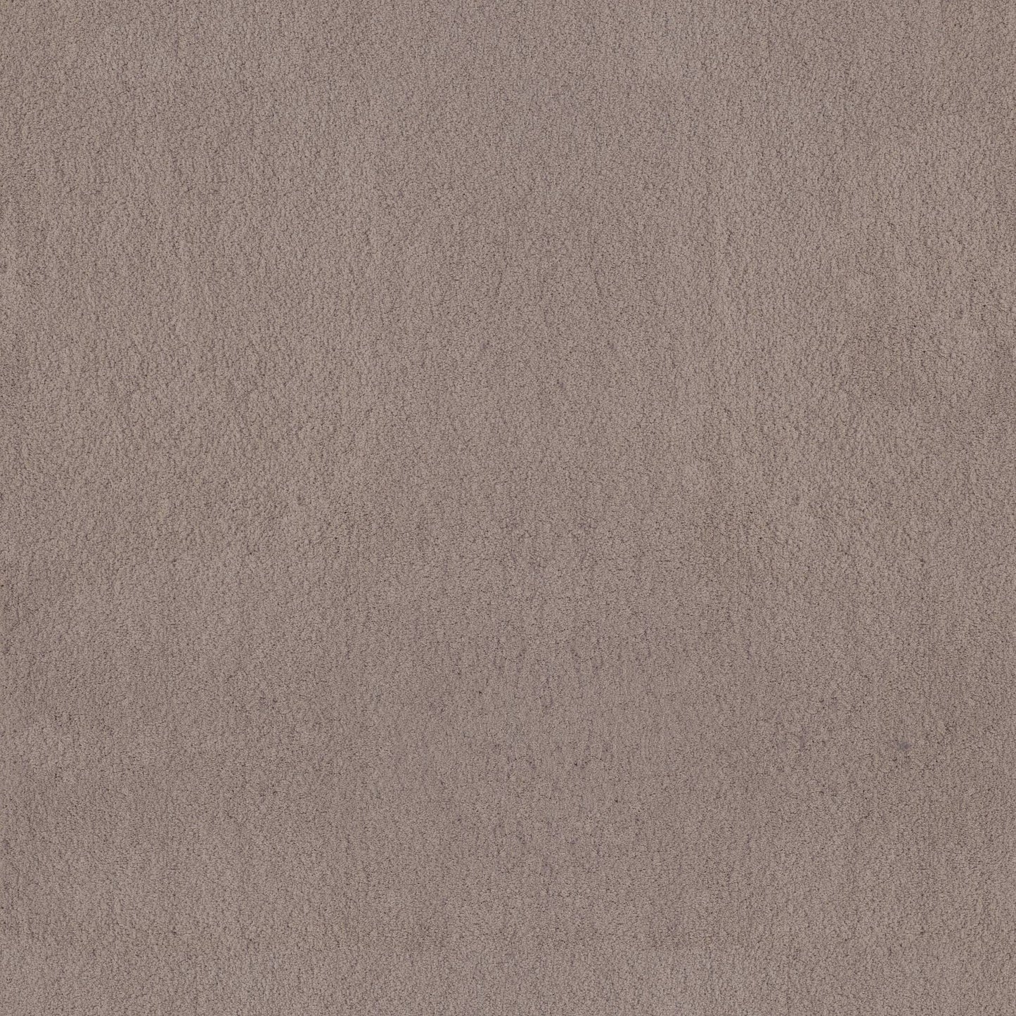 TEXTURE BCF