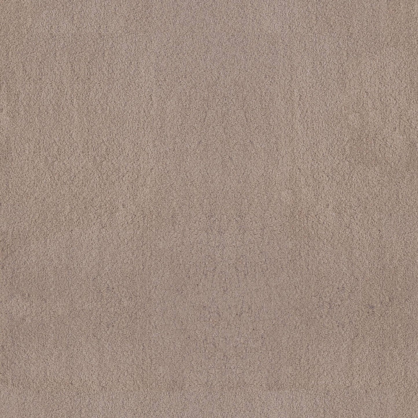 TEXTURE BCF