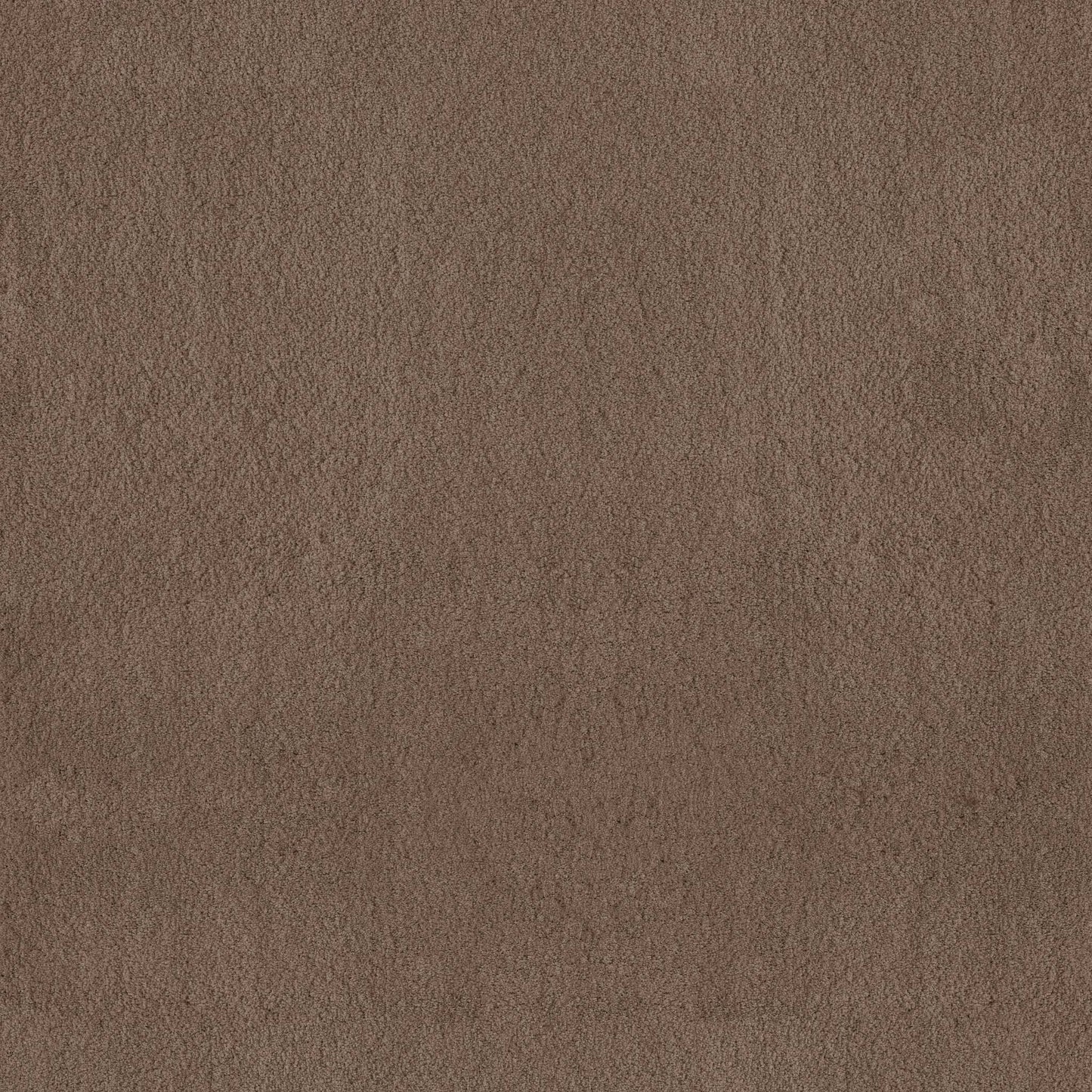 TEXTURE BCF