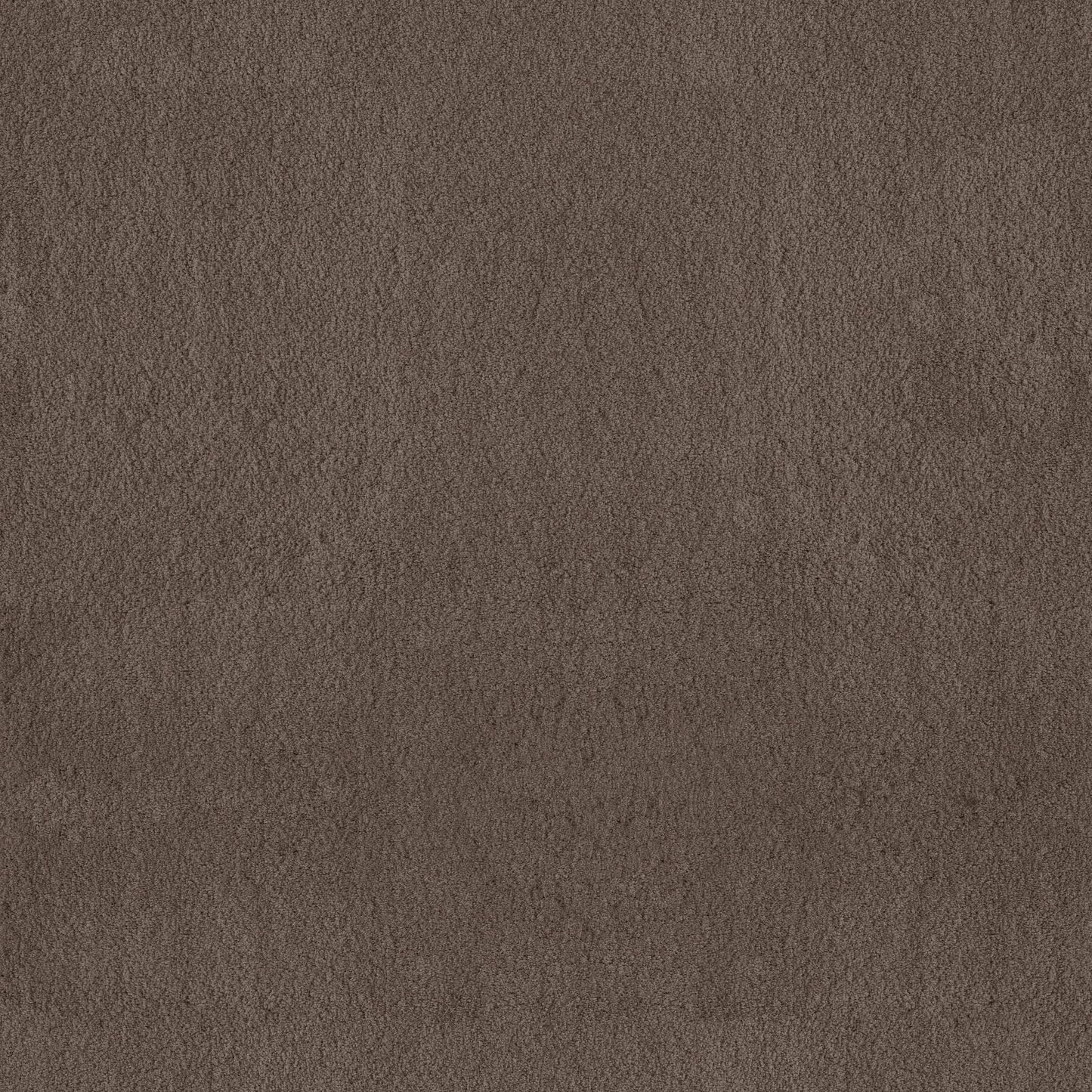 TEXTURE BCF
