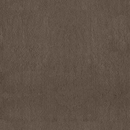 TEXTURE BCF