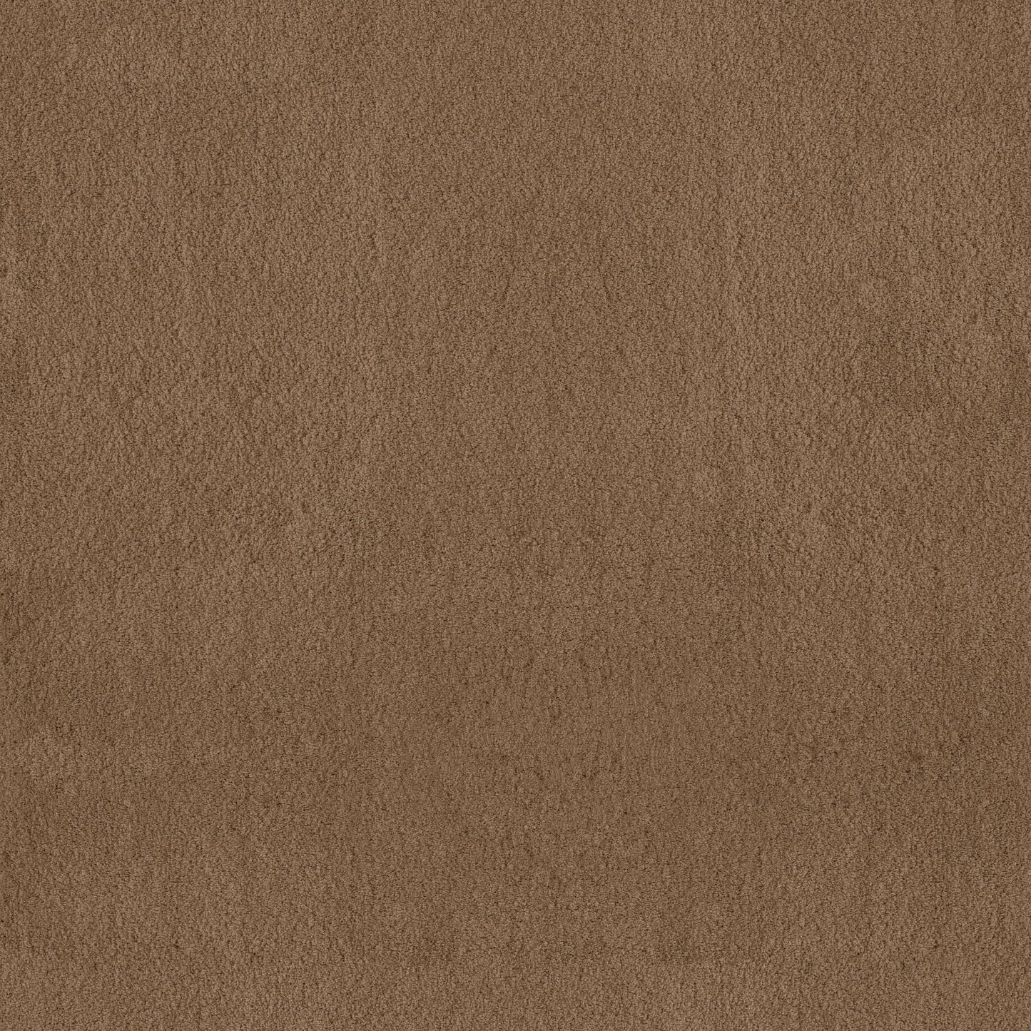 TEXTURE BCF