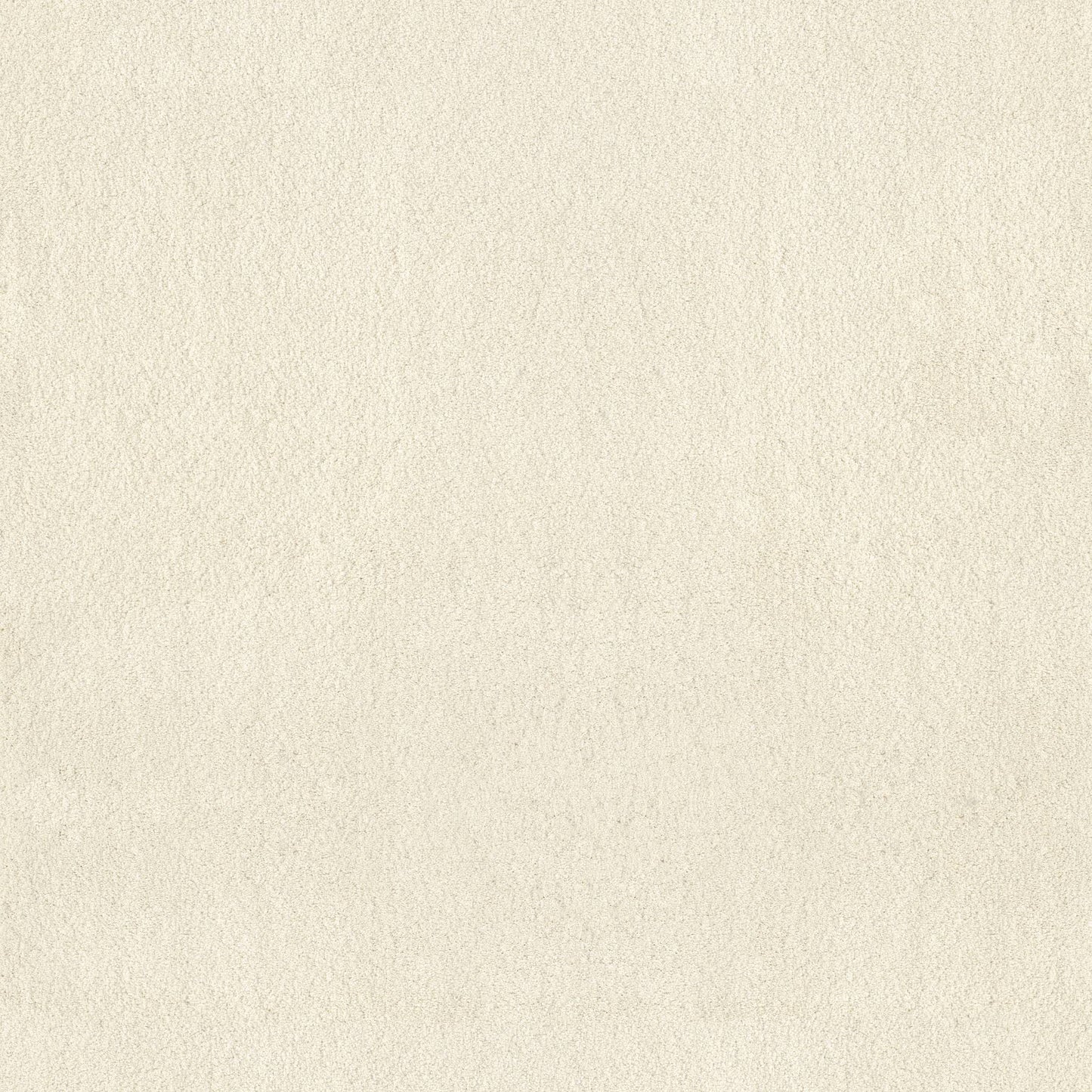 TEXTURE BCF