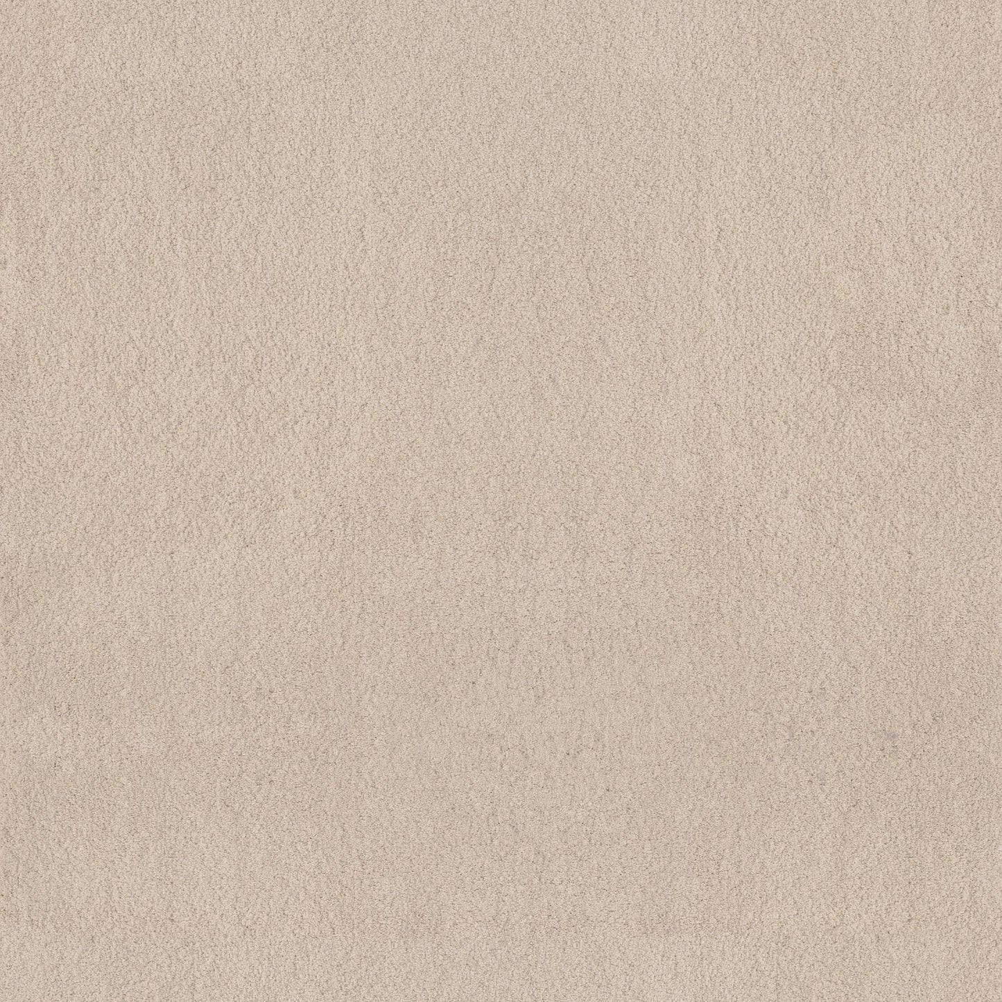 TEXTURE BCF