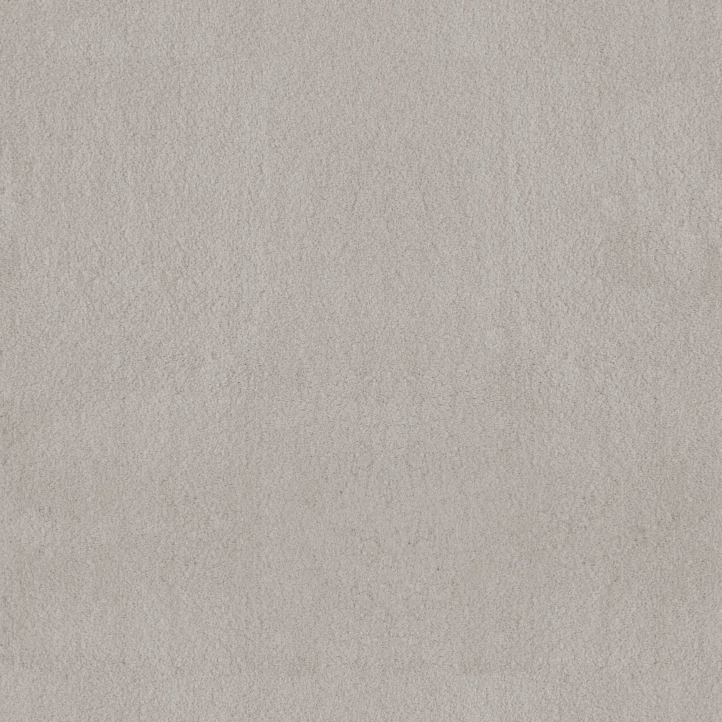 TEXTURE BCF
