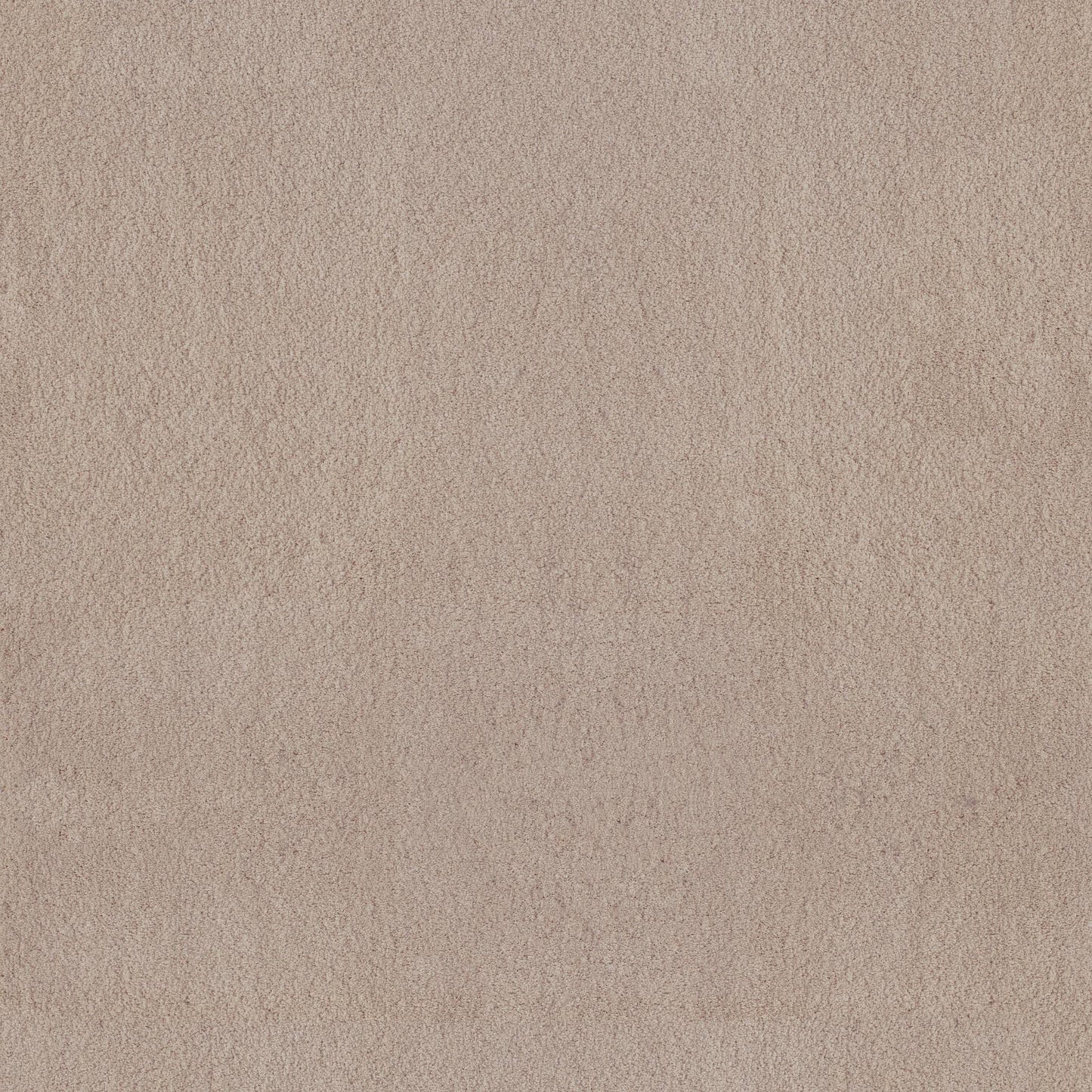 TEXTURE BCF