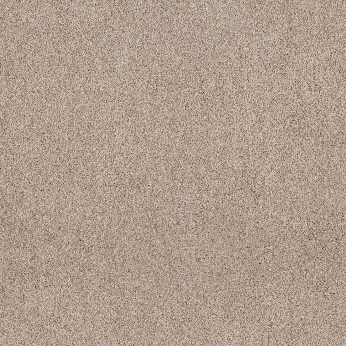 TEXTURE BCF