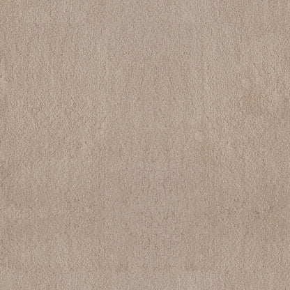 TEXTURE BCF