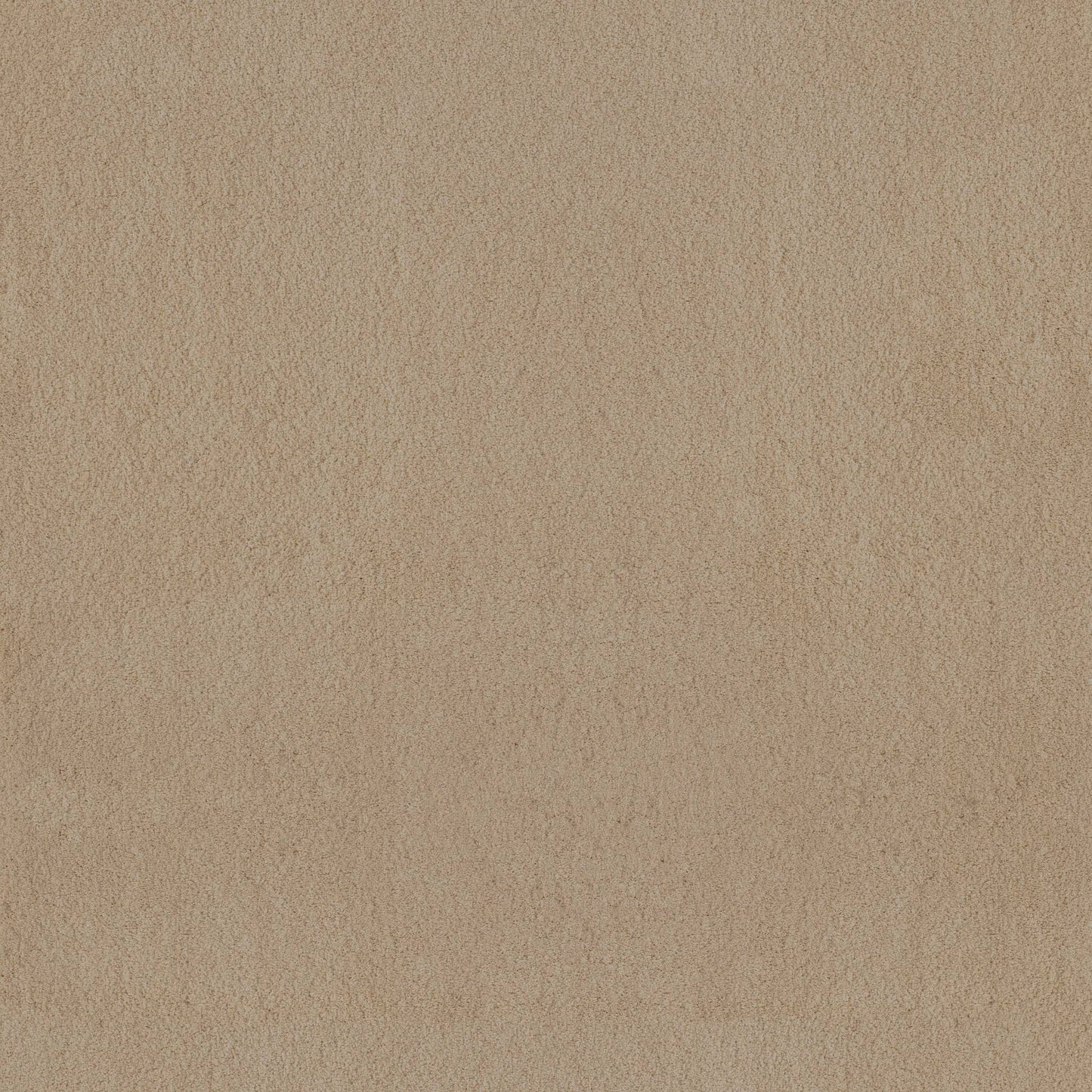 TEXTURE BCF