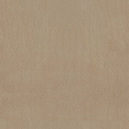 TEXTURE BCF